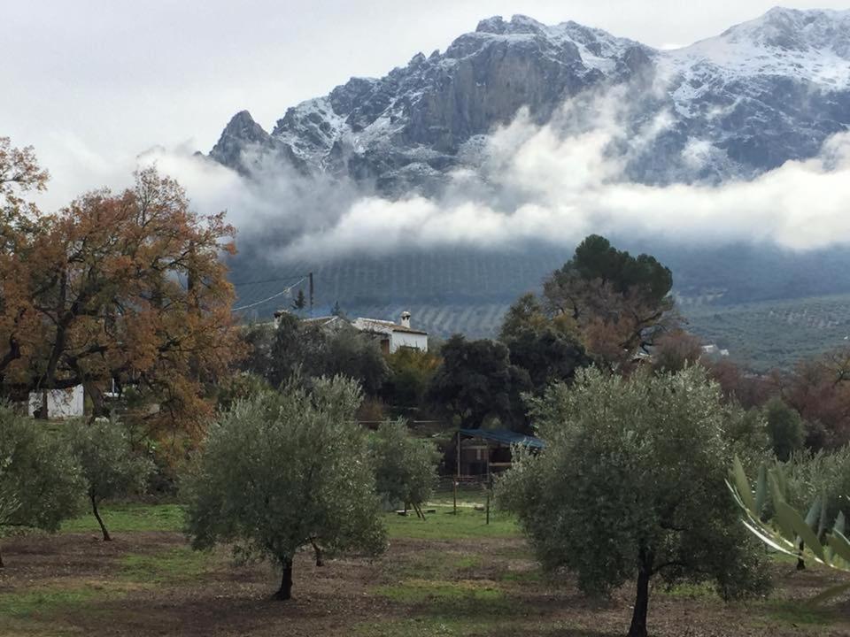 Posada Nina Margarita Priego de Córdoba Екстериор снимка